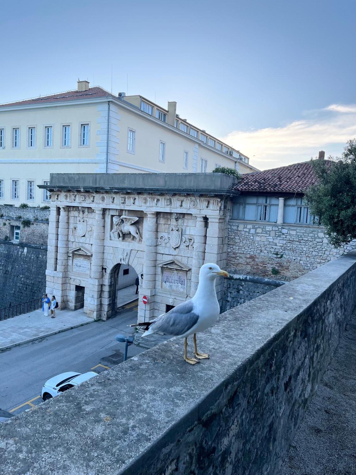 Luxury Majpruz Suites Zadar Extérieur photo